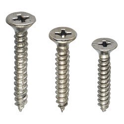 MS Pan Phillips Self Tapping Screw in Anantapur